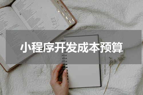 小程序开发成本预算