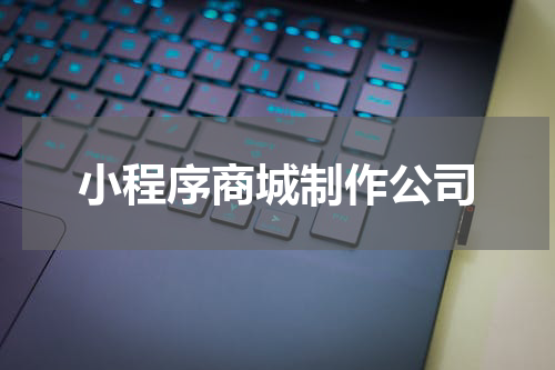 小程序商城制作公司