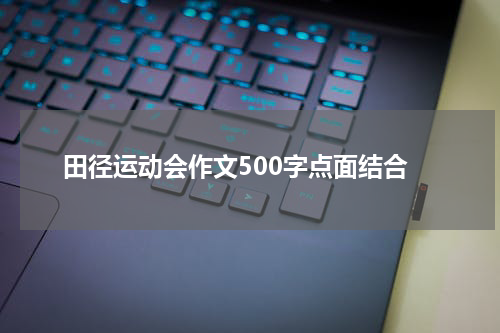 田径运动会作文500字点面结合