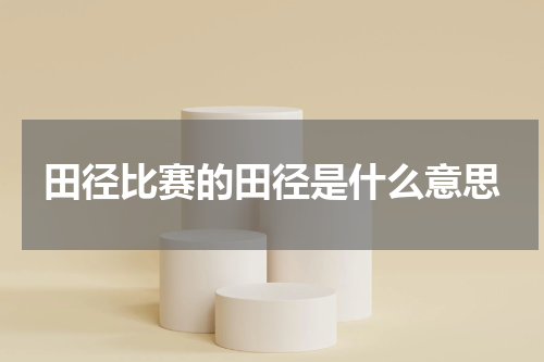 田径比赛的田径是什么意思