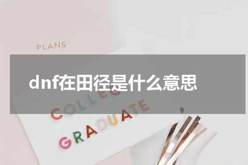 dnf在田径是什么意思