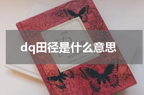 dq田径是什么意思