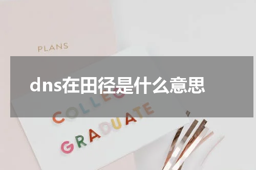 dns在田径是什么意思