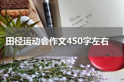 田径运动会作文450字左右