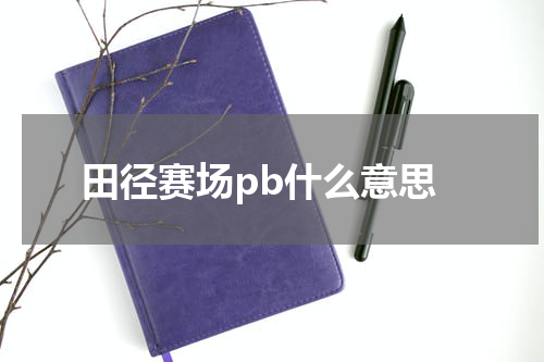 田径赛场pb什么意思