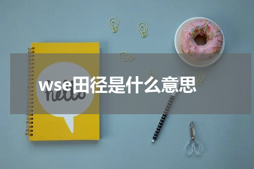 wse田径是什么意思