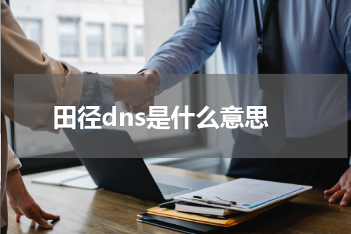 田径dns是什么意思