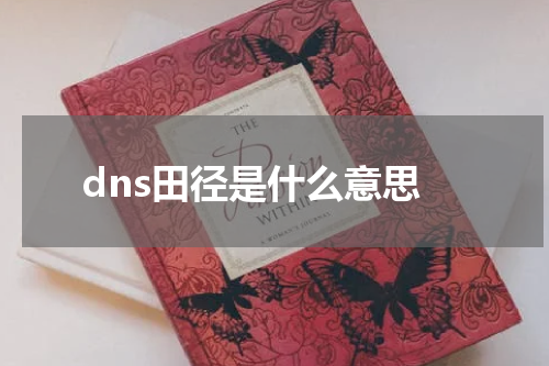 dns田径是什么意思