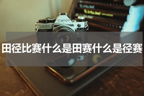 田径比赛什么是田赛什么是径赛