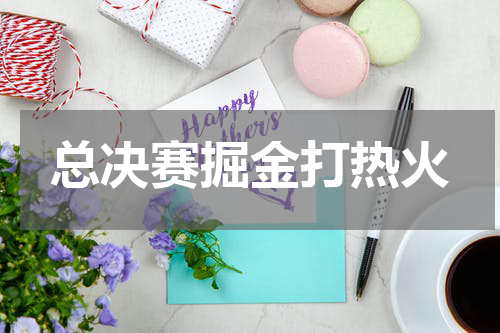 总决赛掘金打热火
