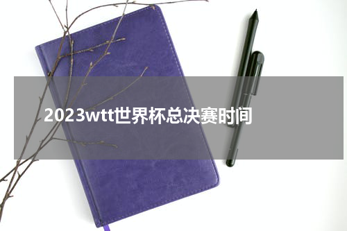 2023wtt世界杯总决赛时间
