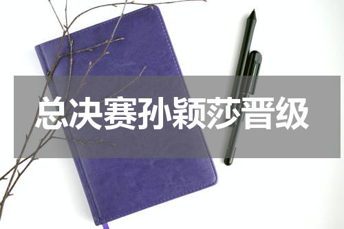 总决赛孙颖莎晋级