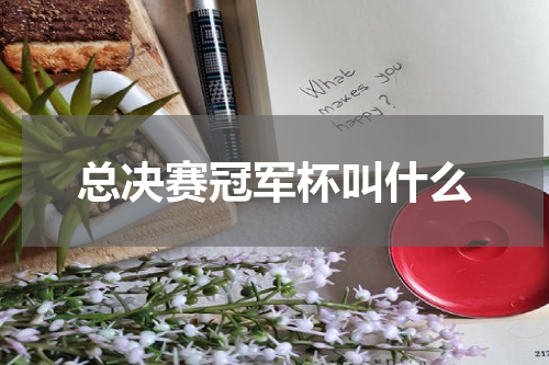 总决赛冠军杯叫什么