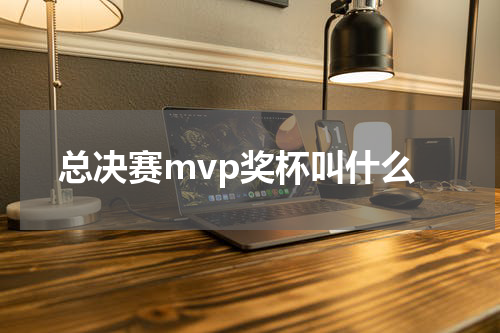 总决赛mvp奖杯叫什么