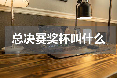 总决赛奖杯叫什么