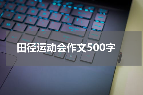 田径运动会作文500字