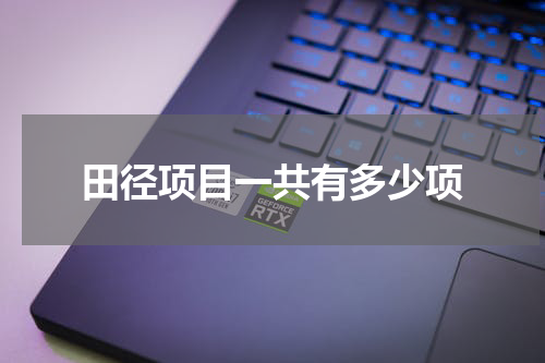 田径项目一共有多少项