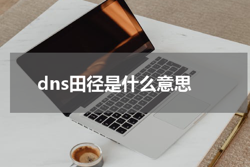 dns田径是什么意思