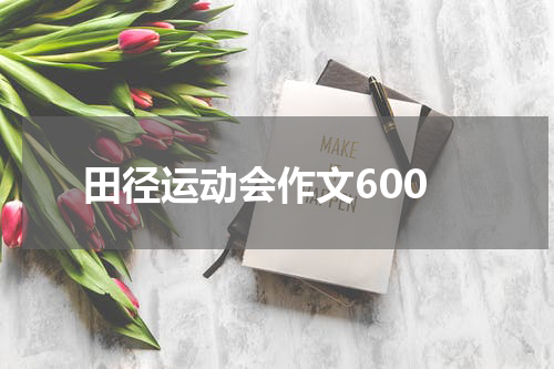 田径运动会作文600