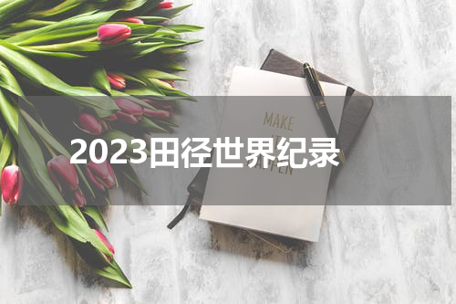 2023田径世界纪录