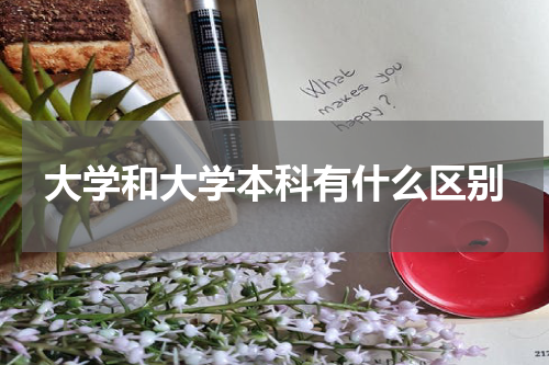 大学和大学本科有什么区别
