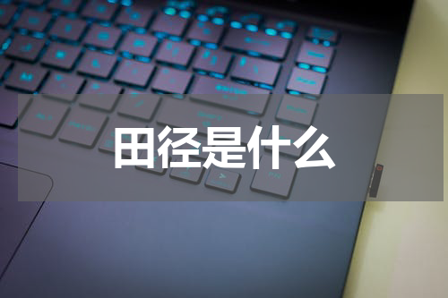 田径是什么