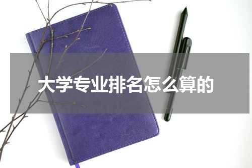大学专业排名怎么算的