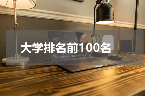 大学排名前100名