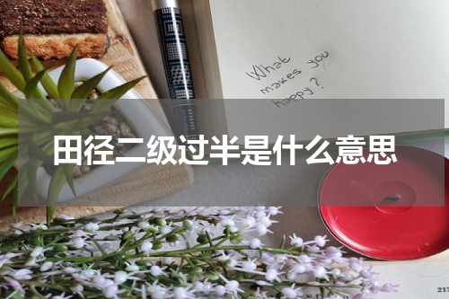 田径二级过半是什么意思