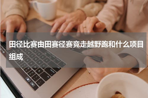 田径比赛由田赛径赛竞走越野跑和什么项目组成