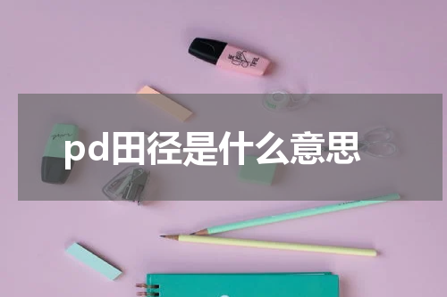 pd田径是什么意思