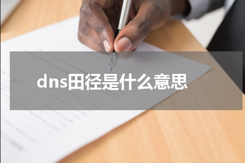 dns田径是什么意思