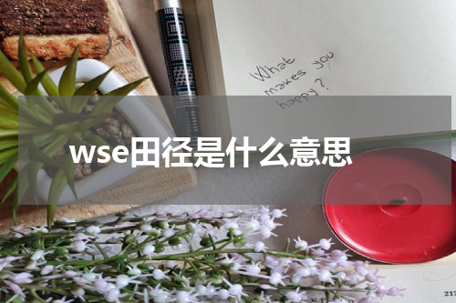 wse田径是什么意思