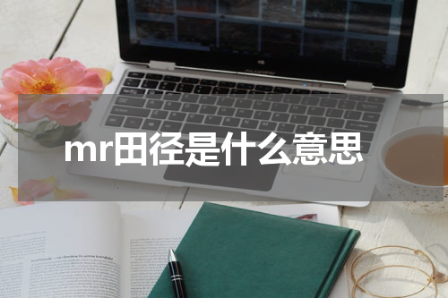 mr田径是什么意思