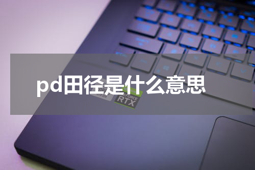 pd田径是什么意思