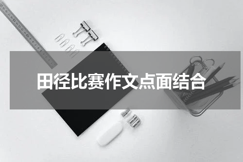 田径比赛作文点面结合