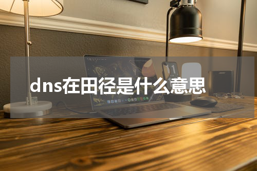 dns在田径是什么意思