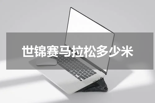 世锦赛马拉松多少米