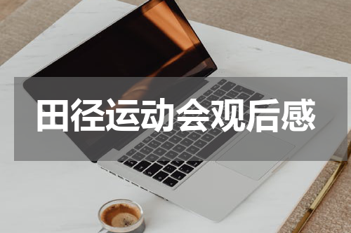 田径运动会观后感