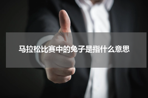 马拉松比赛中的兔子是指什么意思
