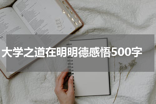 大学之道在明明德感悟500字