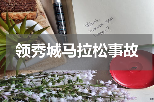 领秀城马拉松事故