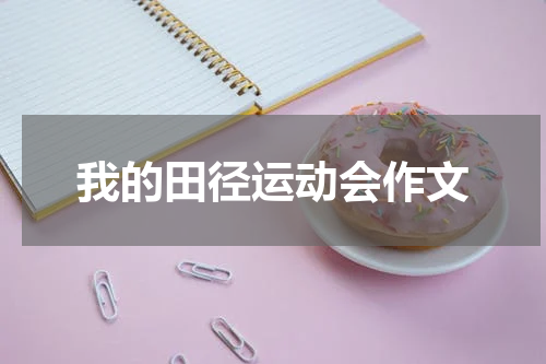 我的田径运动会作文