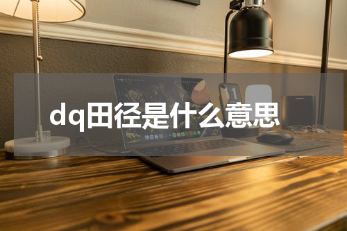 dq田径是什么意思