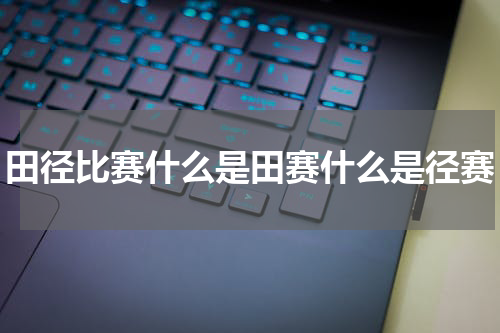 田径比赛什么是田赛什么是径赛