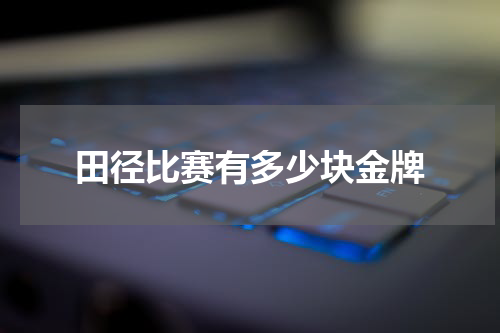 田径比赛有多少块金牌
