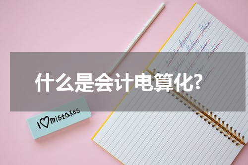 什么是会计电算化?