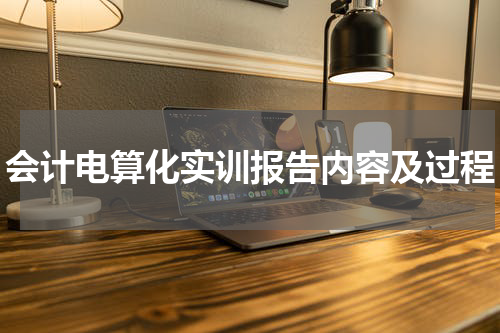 会计电算化实训报告内容及过程