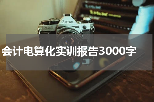 会计电算化实训报告3000字
