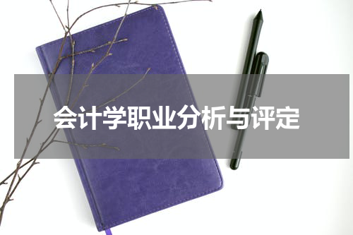 会计学职业分析与评定